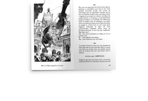 Livre dont vous perso - Gameplay